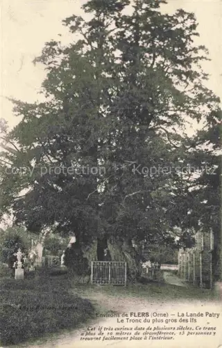AK / Ansichtskarte Flers -de-l-Orne Argentan 61 Orne La Lande Patry Tronc plus gros des lfs