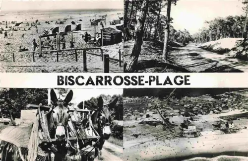 AK / Ansichtskarte Biscarrosse-Plage Mont-de-Marsan 40 Landes Vue partielle La Plage Vue aerienne Les mules