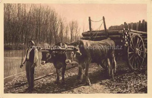 AK / Ansichtskarte Landes Departement 40 Attelage de boeufs