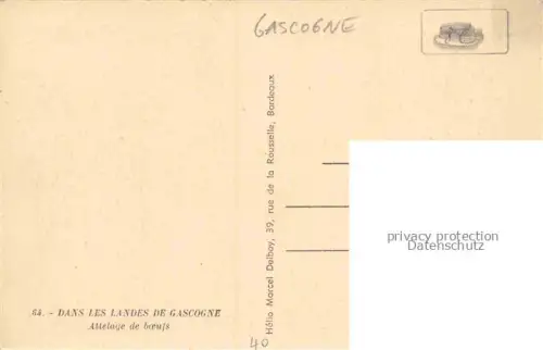 AK / Ansichtskarte Landes Departement 40 Attelage de boeufs