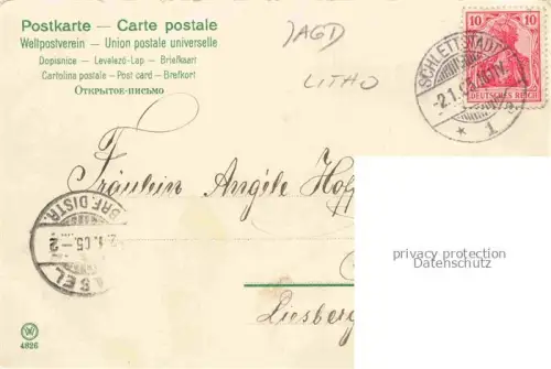 AK / Ansichtskarte Jagd Chasse Hunting Hund Voegel Litho 