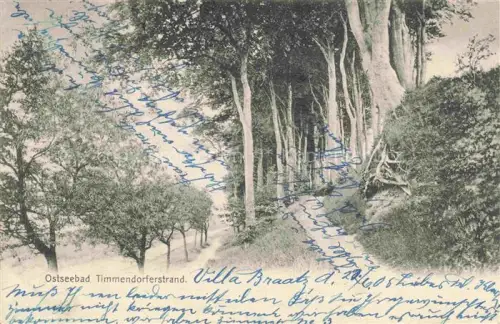 AK / Ansichtskarte Timmendorferstrand Timmendorf  Timmendorfer Strand Spazierweg im Wald