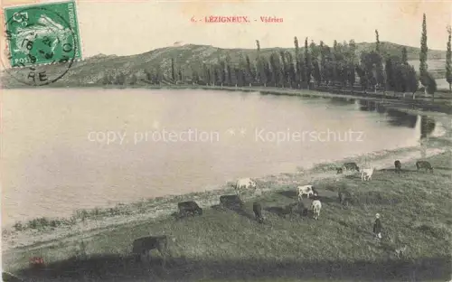 AK / Ansichtskarte Lezigneux Montbrison 42 Loire Vidrieu