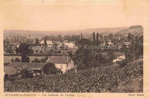 AK / Ansichtskarte St-Pierre-la-Noaille ROANNE 42 Loire Vue generale du Carrege