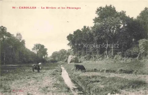 AK / Ansichtskarte Carolles AVRANCHES 50 Manche La rivière et les pâturages