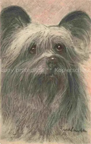 AK / Ansichtskarte HUNDE dogs chiens-- Skye Terrier No 67 Litho