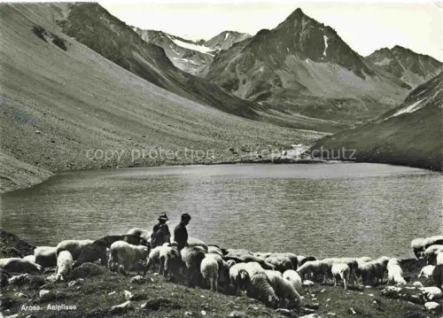 AK / Ansichtskarte Schaeferei Sheperding Bergerie-- Arosa Aeplisee 