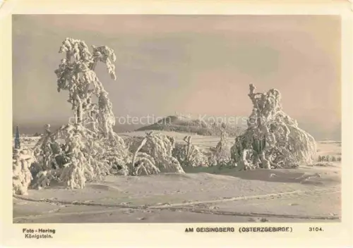 AK / Ansichtskarte Foto Hering Nr. 3104 Koenigstein am Geisingberg Osterzgebirge 