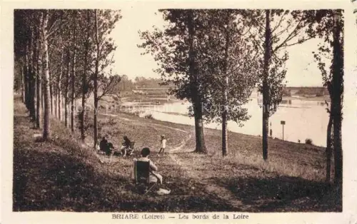 AK / Ansichtskarte Briare-le-Canal Montargis 45 Loiret Les bords de la Loire