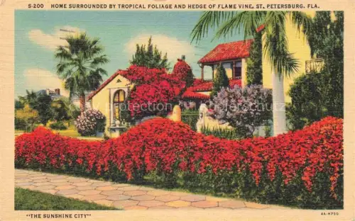 AK / Ansichtskarte St Petersburg Florida USA Home surrounded by tropical foliage and hedge of flame vine