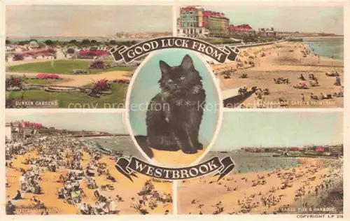 AK / Ansichtskarte Westbrook Warrington UK Sunken Gardens Sands and Promenade Harbour Black Cat