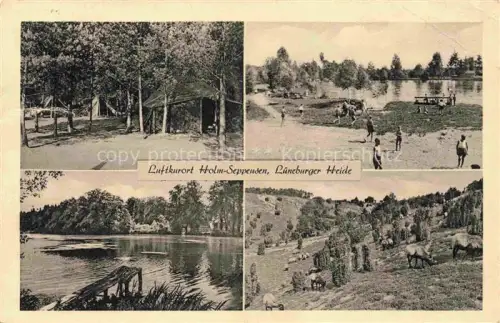 AK / Ansichtskarte Holm-Seppensen Buchholz Nordheide Harburg Niedersachsen Teilansichten Seepartien