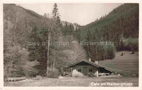 AK / Ansichtskarte Rottach-Egern Tegernsee Bayern Cafe am Wallbergmoos