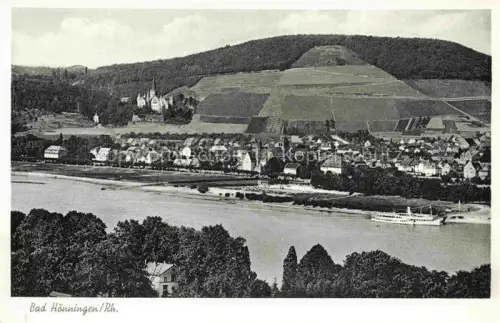 AK / Ansichtskarte Bad Hoenningen Panorama