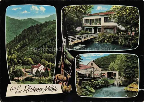 AK / Ansichtskarte Mayen Eifel Rheinland-Pfalz Hotel Riedener Muehle Panorama Schwanenteich