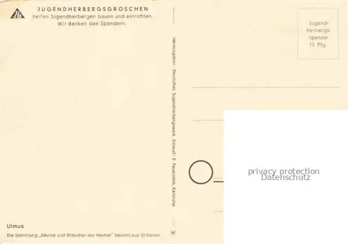 AK / Ansichtskarte Baeume Trees Arbres Arboles Ulme Ruester Straeucher de Heimat 