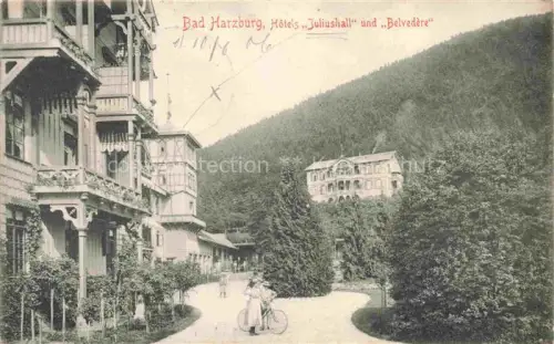 AK / Ansichtskarte BAD HARZBURG Niedersachsen Hotels Juliushall und Belvedere