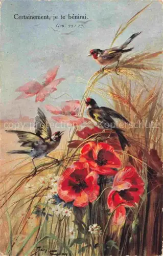 AK / Ansichtskarte Mohnblumen Poppies Coquelicots Papaveri Amapolas-- Voegel Fluegelstreifen Gen