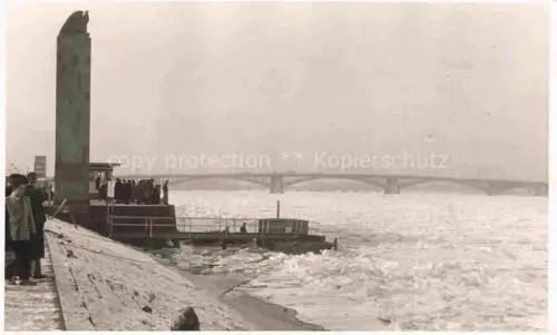 AK / Ansichtskarte MAINZ  Rhein Uferpartie am Rhein im Winter zugefrorener Fluss