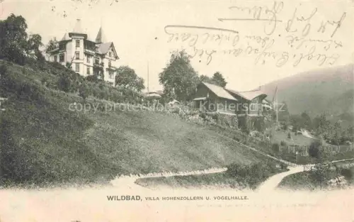 AK / Ansichtskarte WILDBAD  Bad Schwarzwald BW Villa Hohenzollern und Vogelhalle