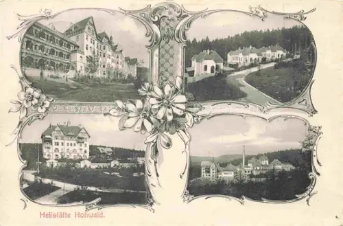 AK / Ansichtskarte Hohwald Neustadt Stolpen Sachsen Heilstaette