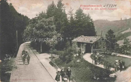 AK / Ansichtskarte FREUDENSTADT BW Partie in den neuen Anlagen