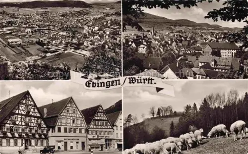 AK / Ansichtskarte Ebingen Albstadt BW Fliegeraufnahme Panorama Fachwerkhaeuser Schafherde