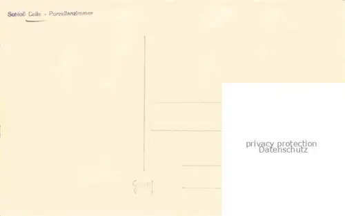 AK / Ansichtskarte CELLE  Niedersachsen Schloss Porzellanzimmer