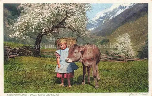 AK / Ansichtskarte GABERELL Foto Gaberell J. Nr. Bergfruehling Printemps Maedchen Kalb Schweiz