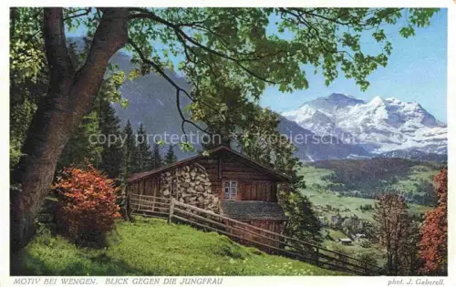 AK / Ansichtskarte GABERELL Foto Gaberell J. Nr. Motiv bei Wengen Jungfrau 