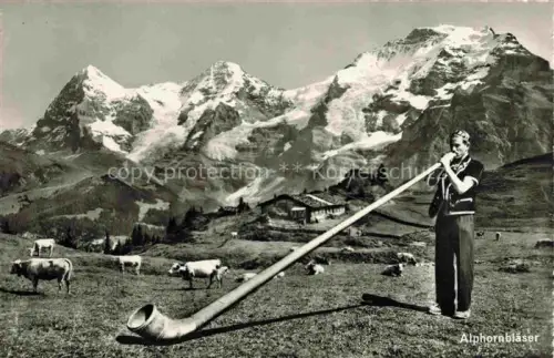 AK / Ansichtskarte Alphorn Cor des Alpes-- Kuehe Schweiz