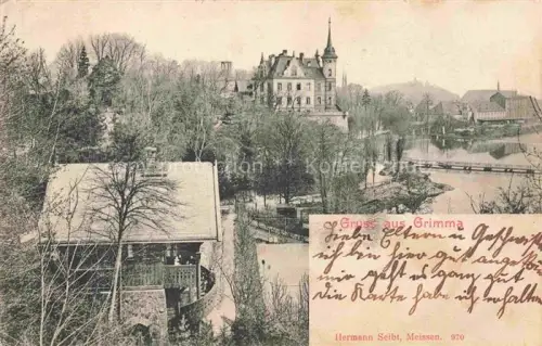 AK / Ansichtskarte Grimma Sachsen Teilansicht