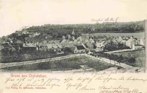 AK / Ansichtskarte Oldisleben Panorama