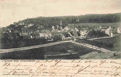 AK / Ansichtskarte Oldisleben Panorama