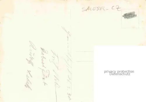 AK / Ansichtskarte Salesel Salesl Dolni Zalezly CZ Panorama