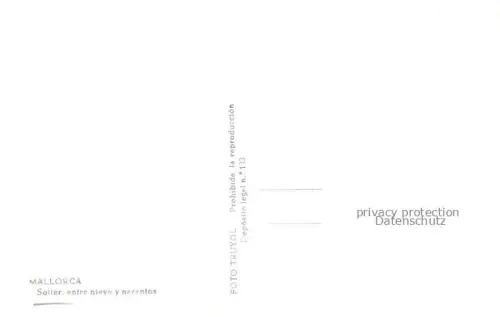 AK / Ansichtskarte SOLLER Mallorca ES Entre nieve y naranjos