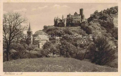 AK / Ansichtskarte Wertheim Main Schlossruine vom Schiesshaus aus gesehen