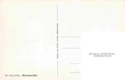 AK / Ansichtskarte Muenstereifel Bad NRW Panorama Kuenstlerkarte Nr. 3019