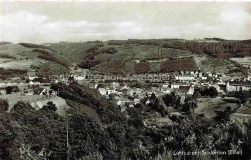 AK / Ansichtskarte Schleiden Eifel Panorama Luftkurort
