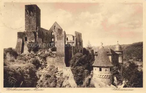 AK / Ansichtskarte Wertheim Main Schlossruine