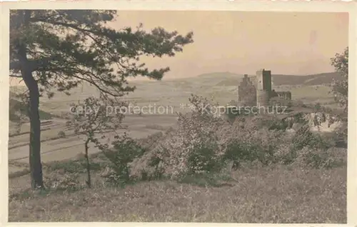 AK / Ansichtskarte BAD KIssINGEN Panorama Burgruine