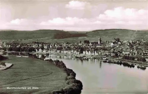 AK / Ansichtskarte Marktheidenfeld Panorama