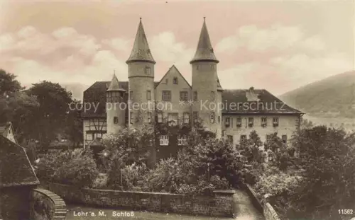 AK / Ansichtskarte Lohr Main Schloss