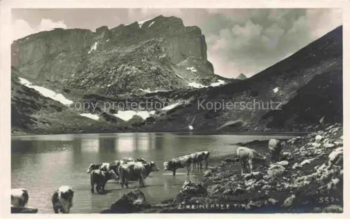 AK / Ansichtskarte Zireinersee Steinberg am Rofan Tirol AT Kuhherde am See
