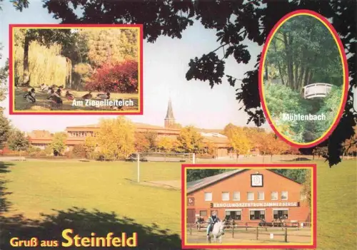 AK / Ansichtskarte Steinfeld  Oldenburg Am Ziegeleiteich Muehlenbach Erholungszentrum Gammerberge
