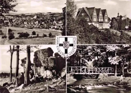 AK / Ansichtskarte Marienberg  Westerwald Bad Rheinland-Pfalz Europaticus Grosser Wolfstein Nistertal
