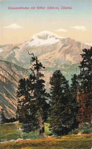 AK / Ansichtskarte Mayrhofen  Zillertal Tirol AT Grawandboden mit Riffler Zillertaler Alpen