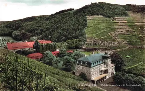 AK / Ansichtskarte Marienthal Ahr Bad Neuenahr-Ahrweiler Weinbaudomaene mit Bundesschule