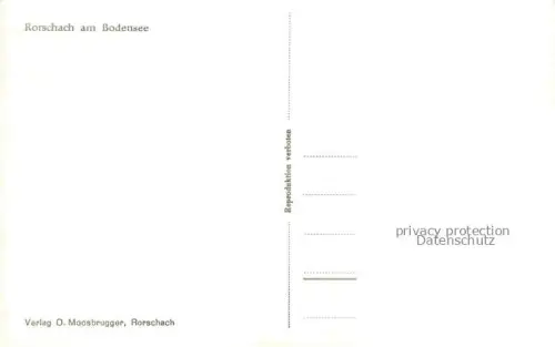 AK / Ansichtskarte RORSCHACH Bodensee SG Panorama Buchten von Horn Arbon und Romanshorn