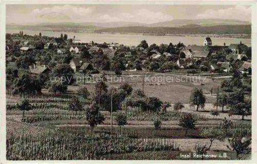 AK / Ansichtskarte Insel Reichenau Panorama